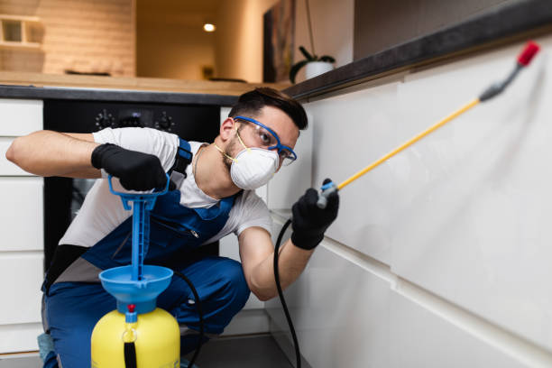 Best Best Pest Control Companies  in Hazen, AR