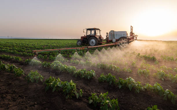 Best Commercial Pest Control Services  in Hazen, AR