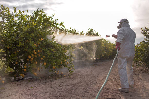 Best Best Pest Control Companies  in Hazen, AR