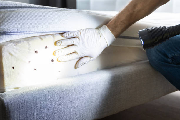 Best Pest Control Near Me in Hazen, AR
