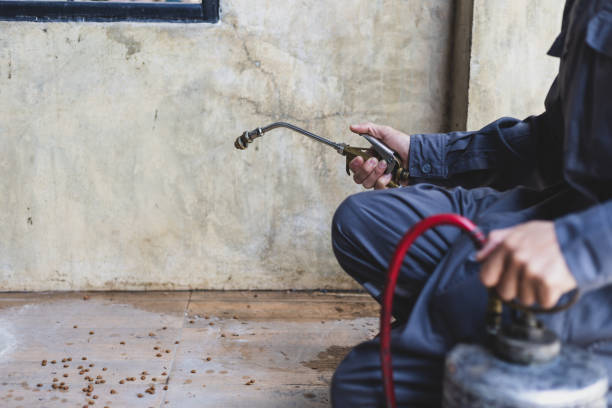 Best Termite Control Services  in Hazen, AR